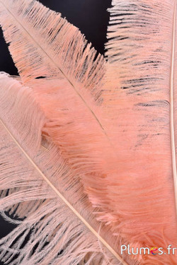 Strauß zugeschnitten - 50-60 cm - lachsrosa